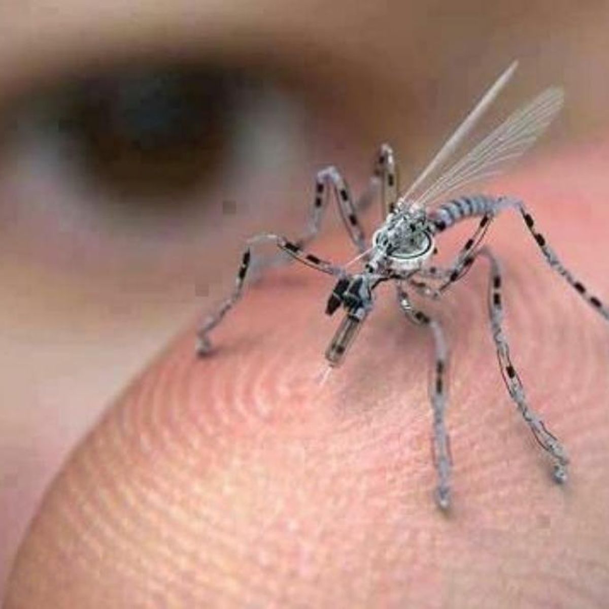 sagging Et hundrede år strøm Insect Spy Drone | Snopes.com