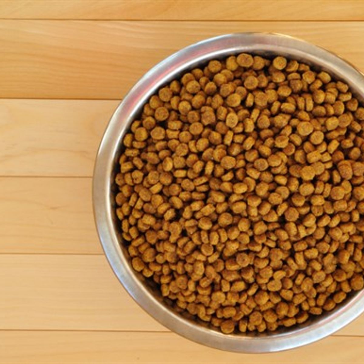 Dollar general pedigree outlet dog food