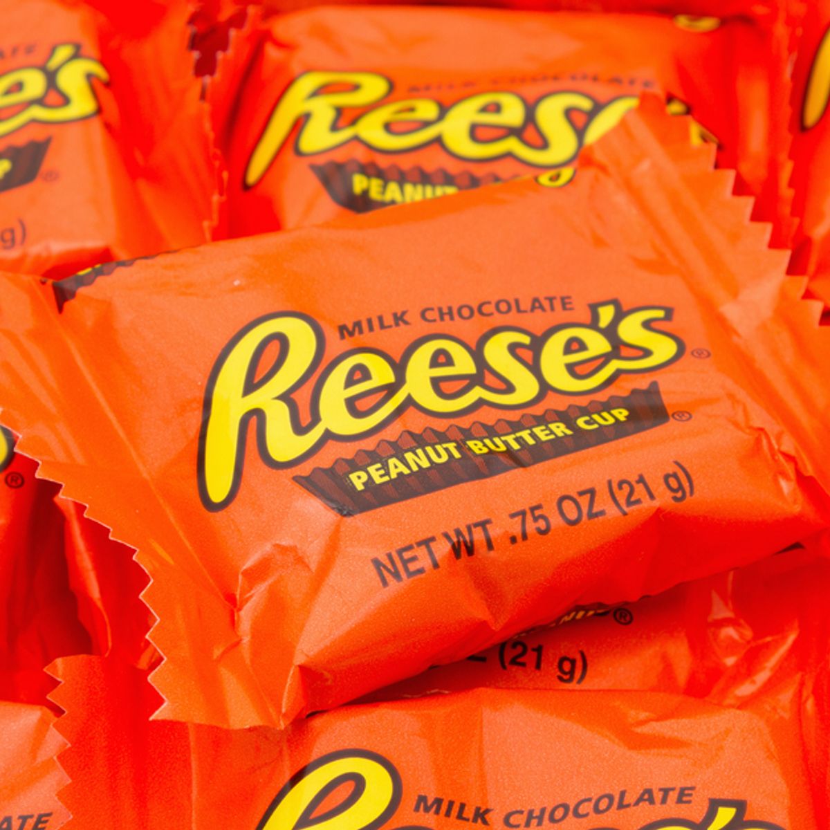 Dog ate hot sale reese's