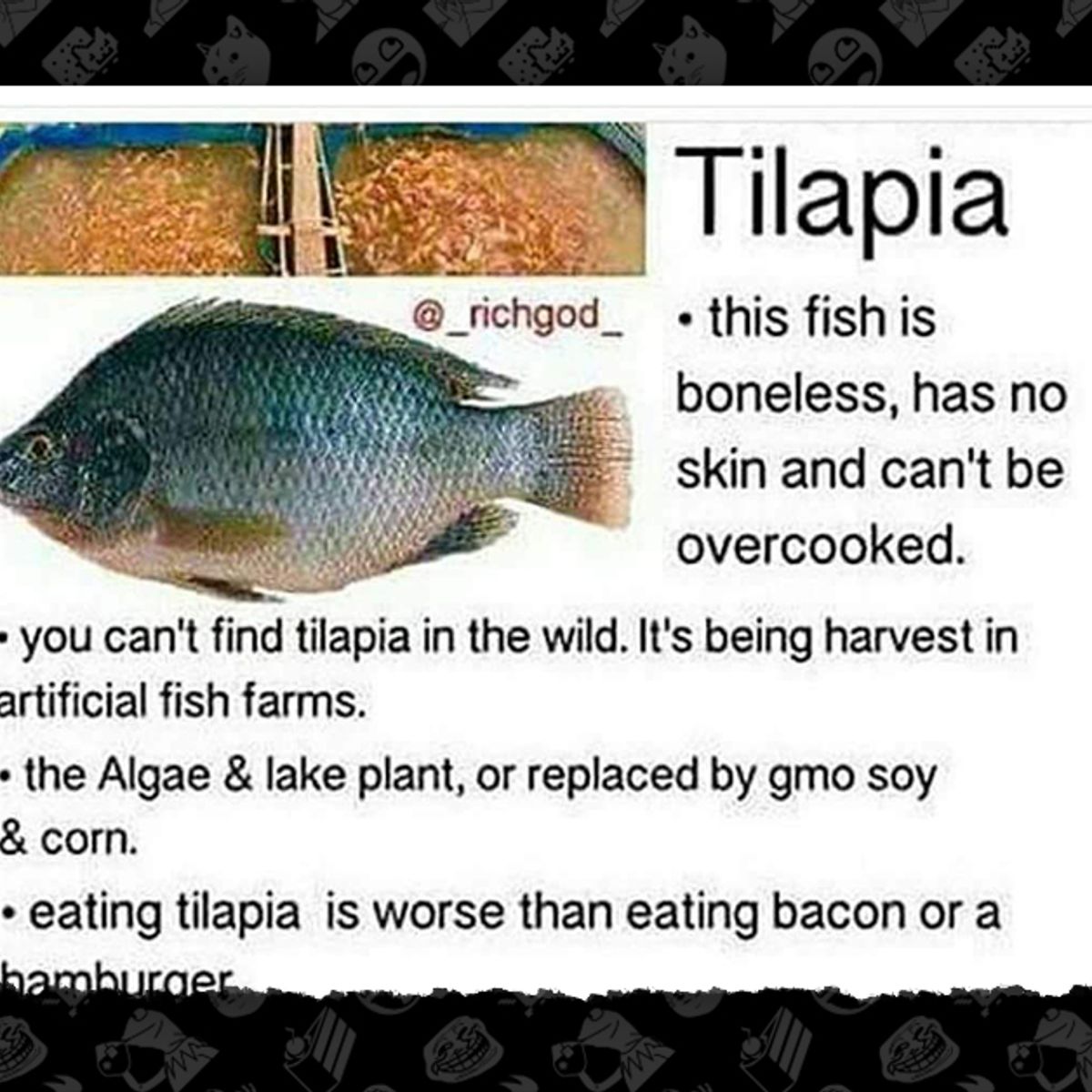 Is Tilapia a Boneless, Skinless 'Mutant' Fish That Is Unsafe to Eat?