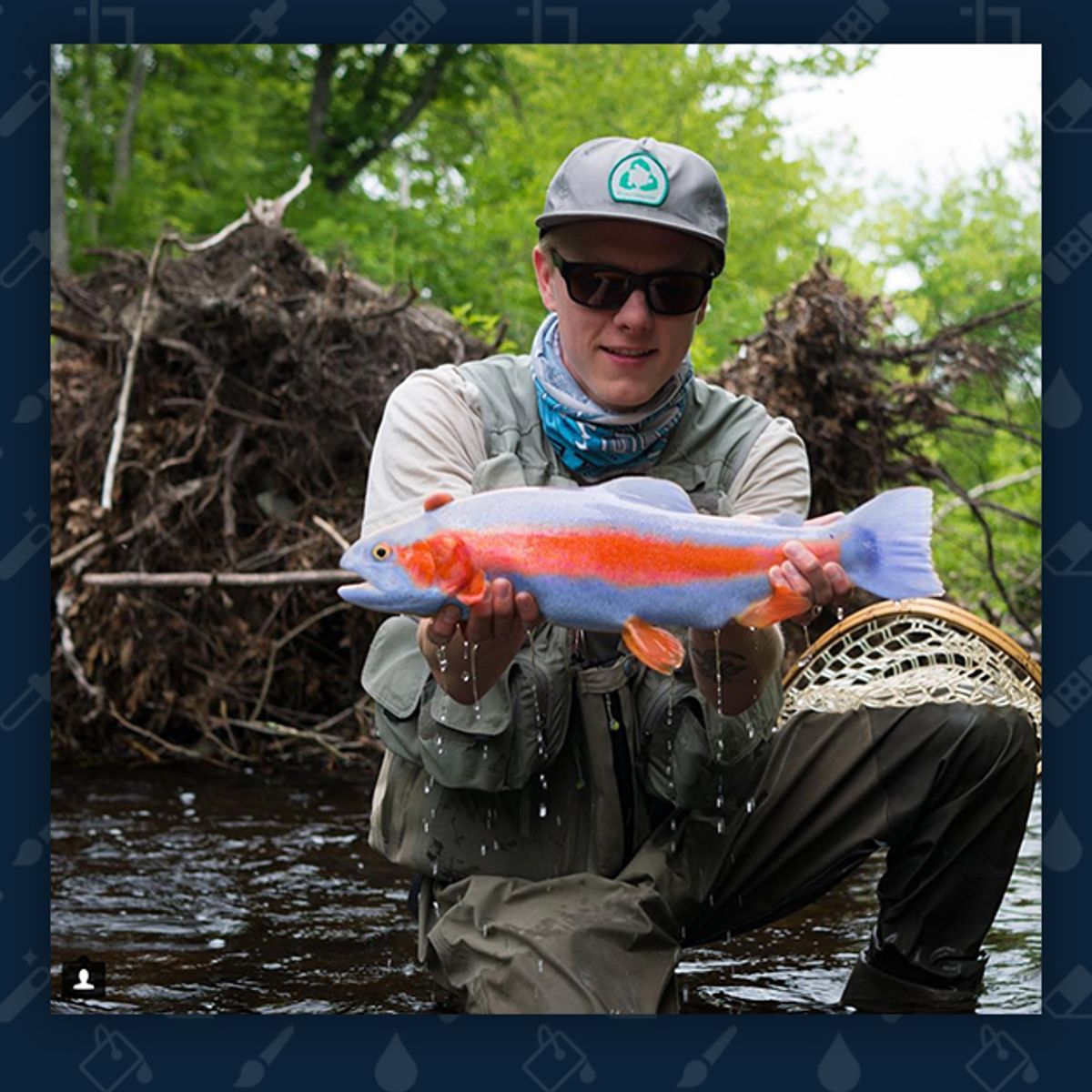 Palomino trout sales