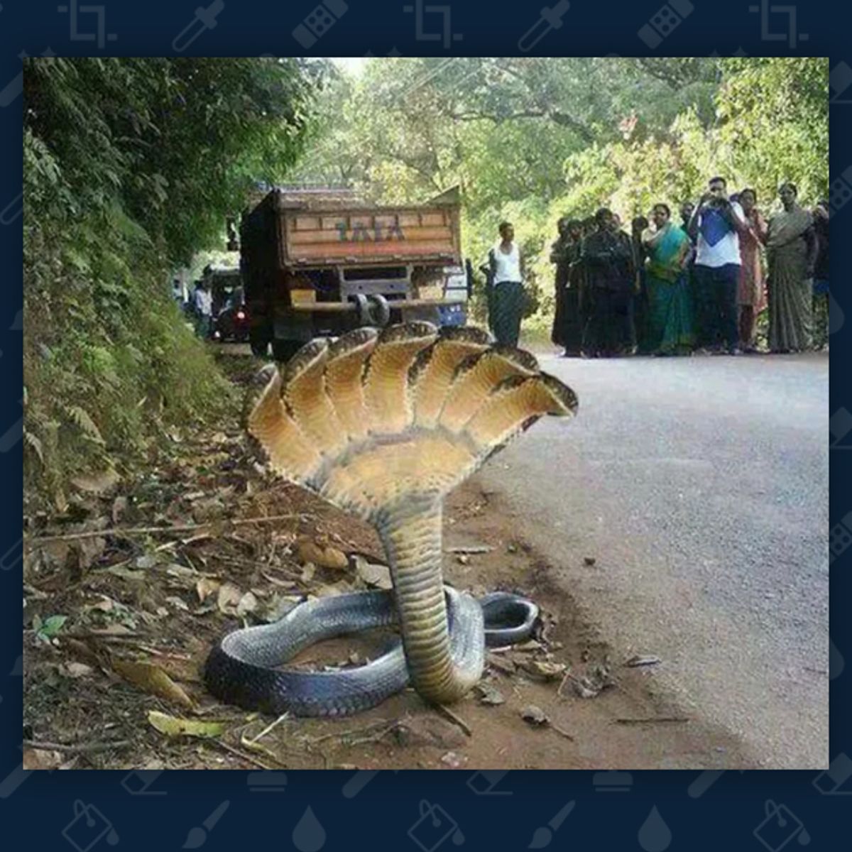 10 headed snake real