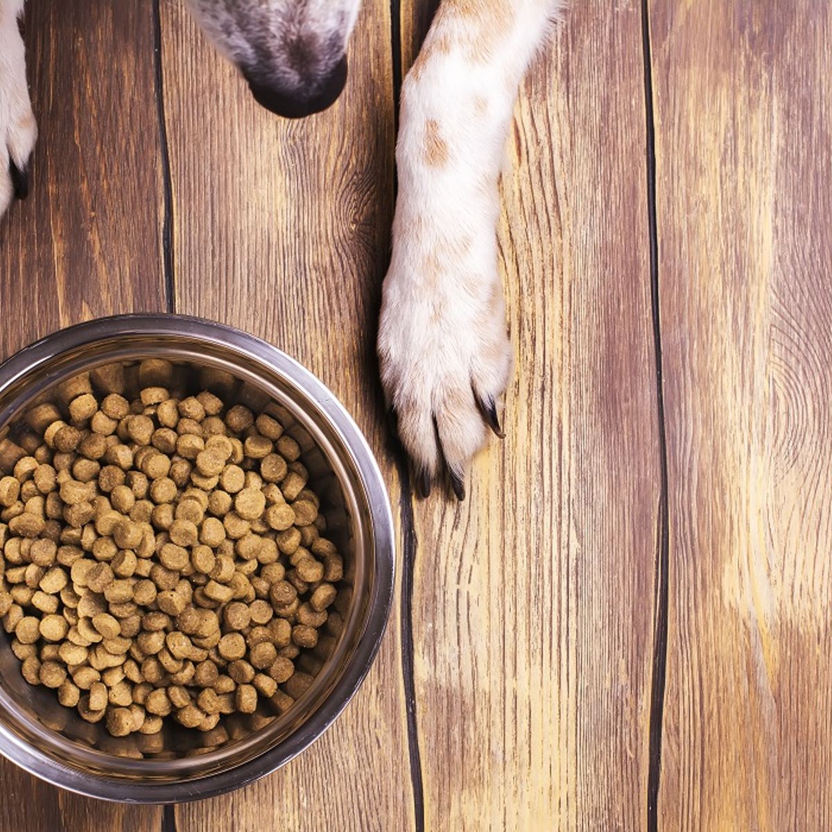 Bad dog food list 2019 top