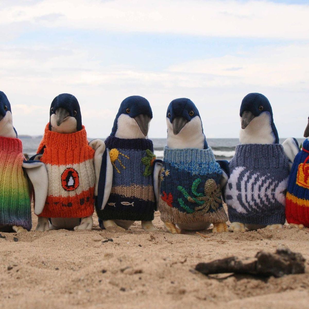 Sweaters australia store