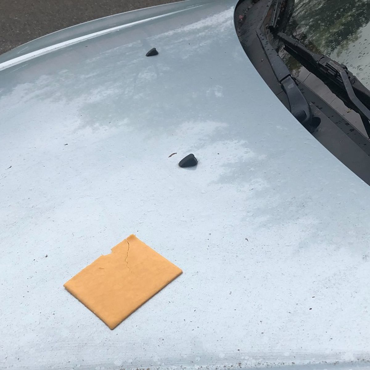 Does Finding Cheese on Your Car Hood Mean You Are in Danger?