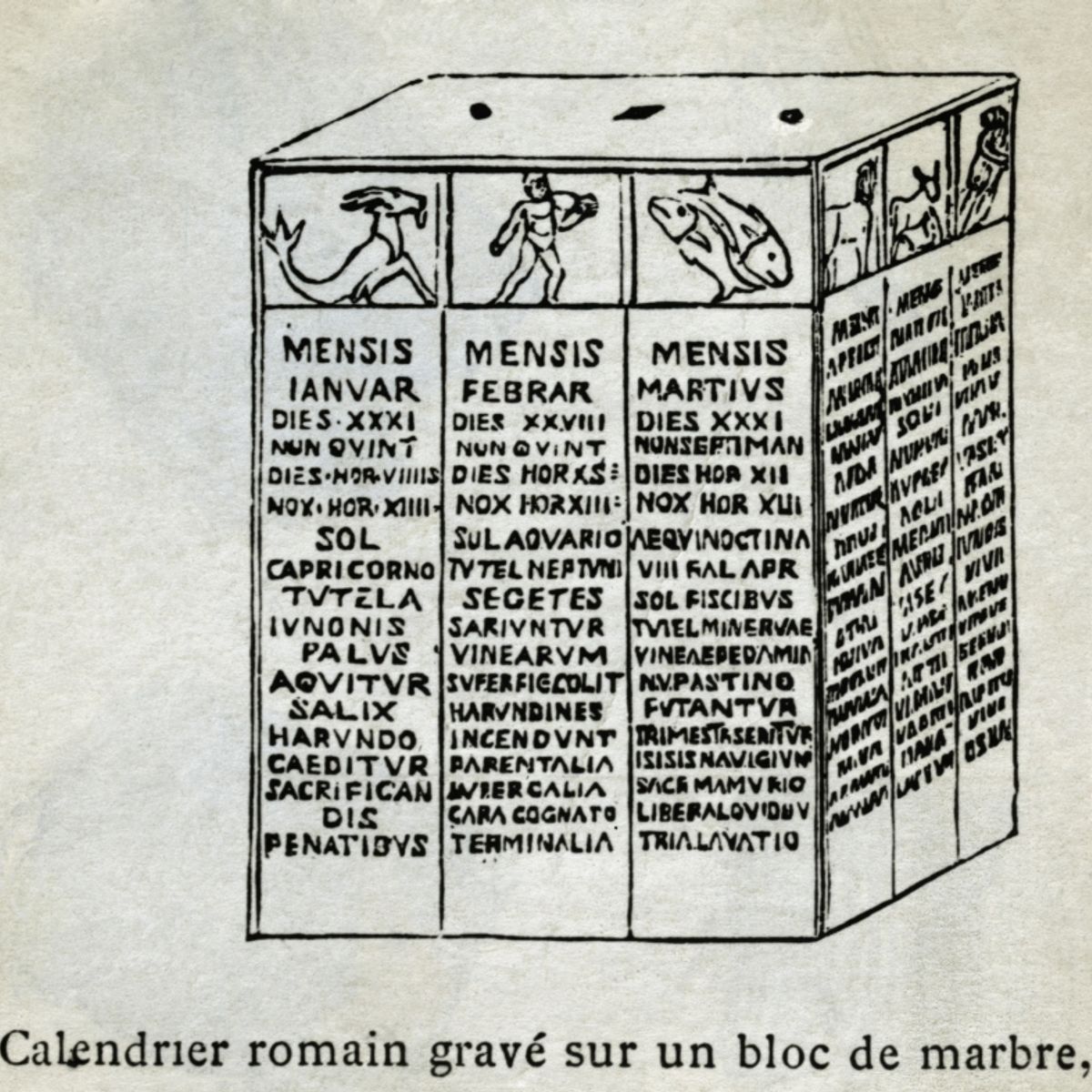 Modern Calendar Invented Jania Lisetta