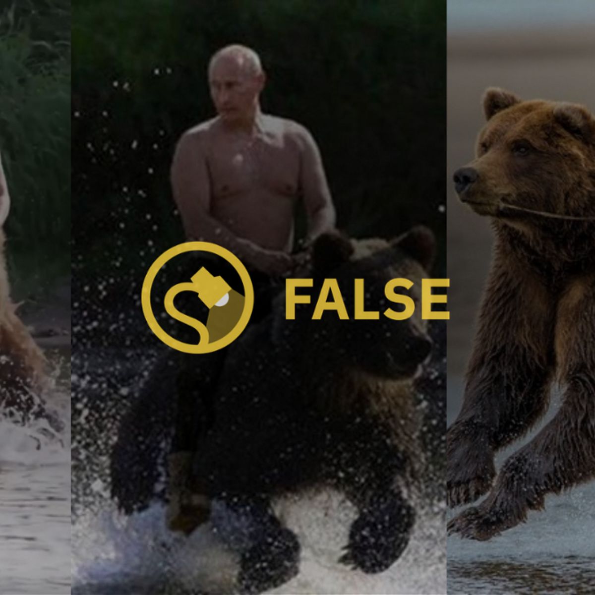 Putin riding 2025 bear action figure
