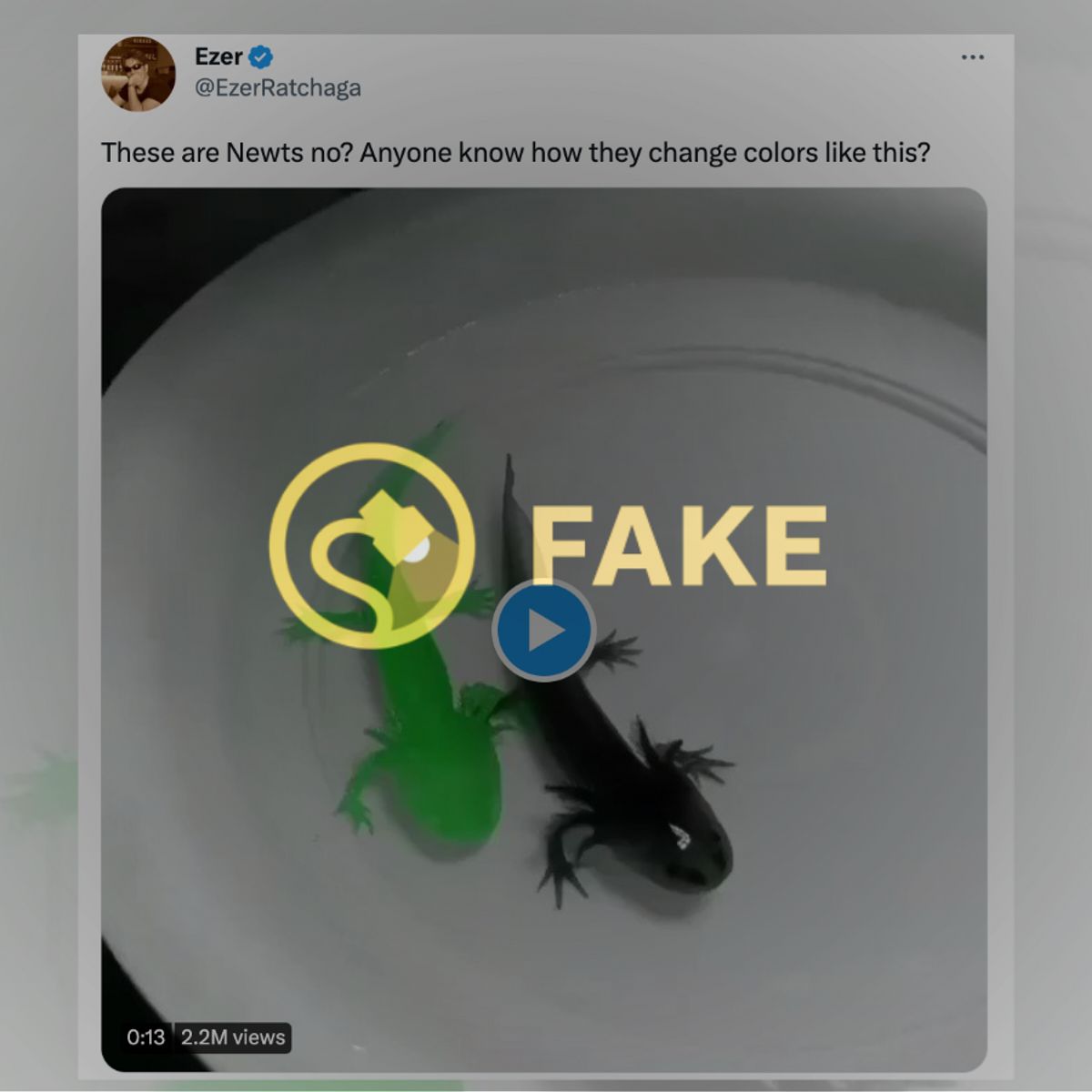 Does Video Show a Newt Rapidly Changing Color? | Snopes.com