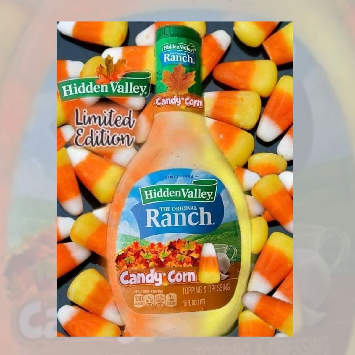 Candy ranch shop