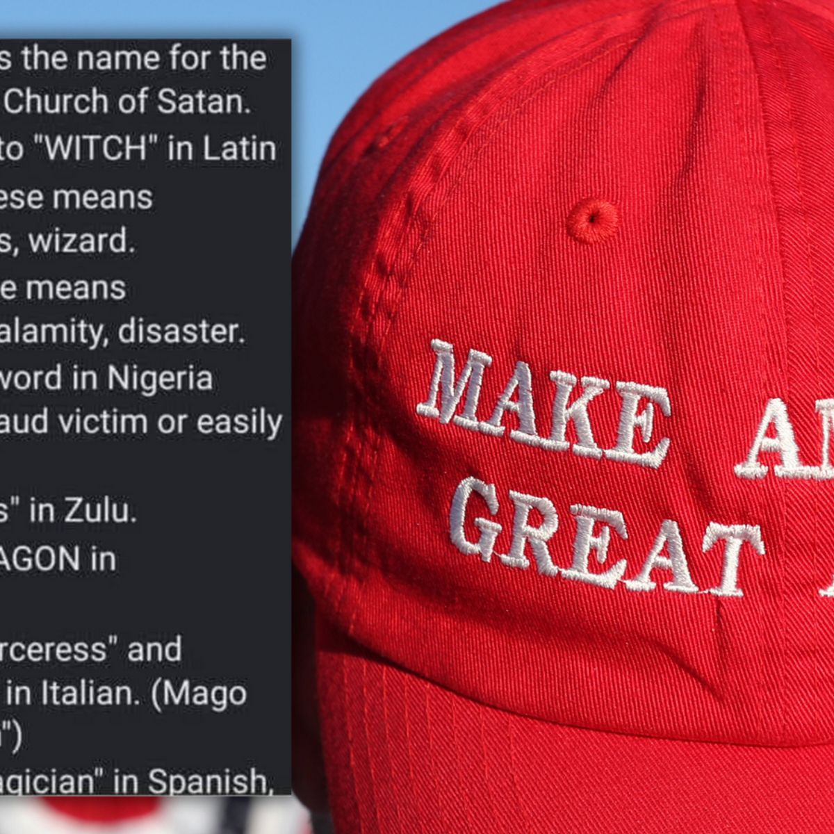 This Is Maga Country Said Nigerians Funny Meme Fake News This Is Maga Country Said Nigerians Funny Meme Fake News
