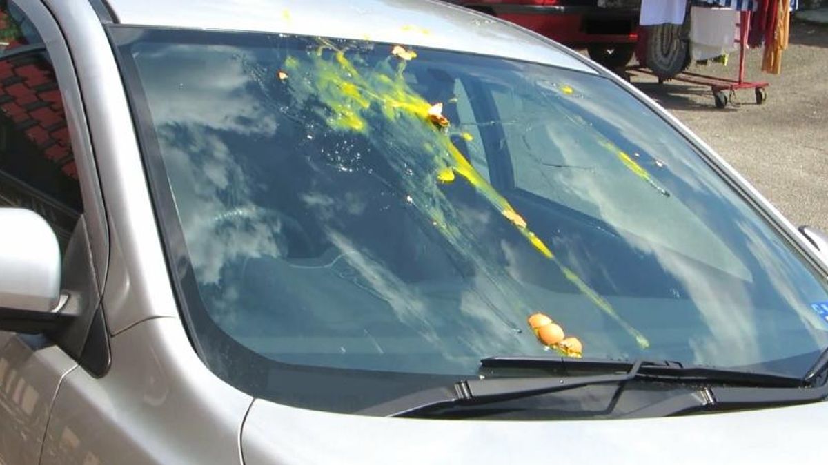 Robbers Throwing Eggs at Car Windshields? | Snopes.com