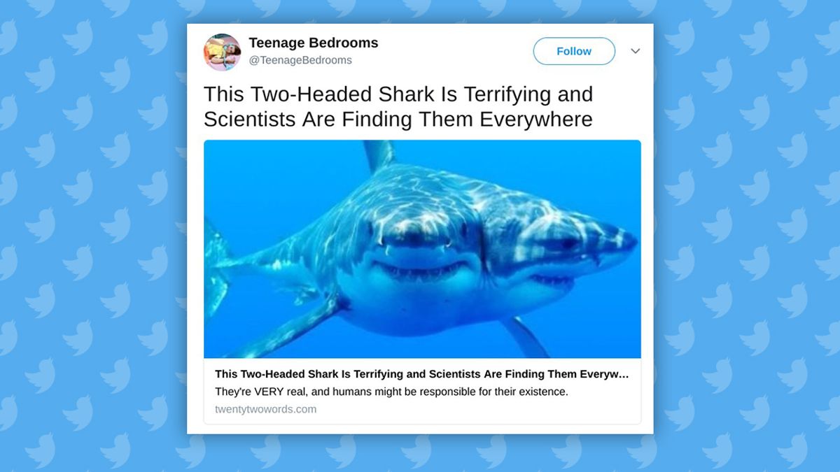 shark with two heads