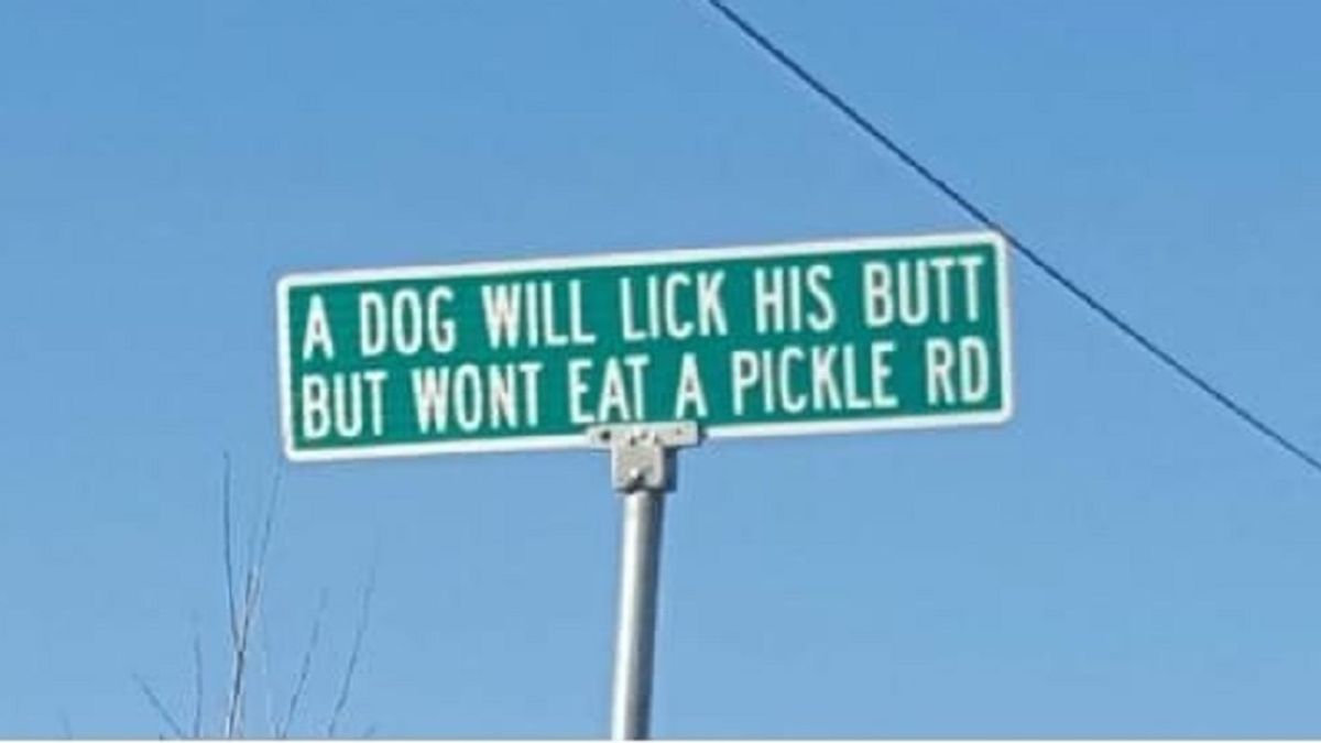 a dog will lick but wont eat a pickle rd