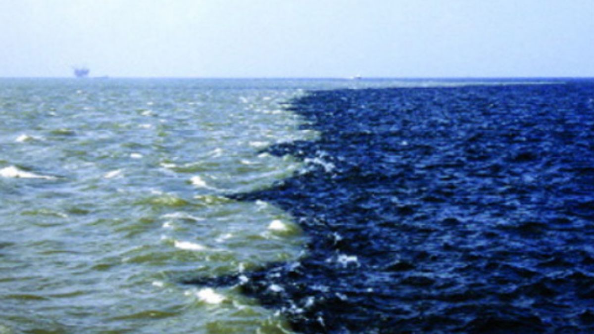 Does This Pic Show Where the Mississippi River Meets the Gulf of Mexico?
