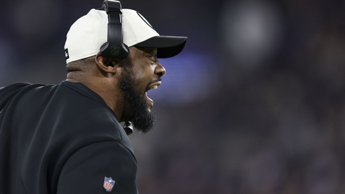 Pittsburgh Steelers' Coach Tomlin Benches 2 Anthem Kneelers 'On the Spot'?  | Snopes.com