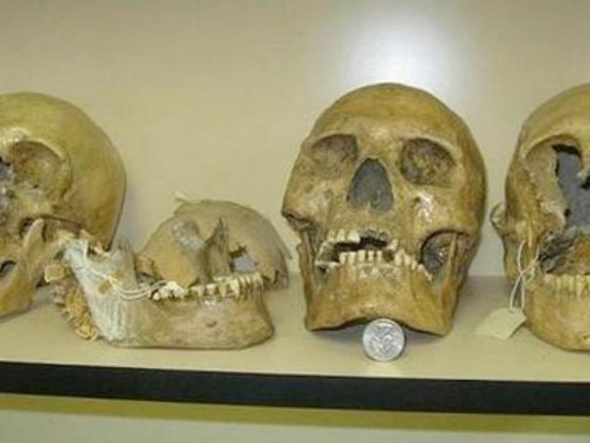 Charlotte Bronte kommentator Ud over Did the Smithsonian Destroy Thousands of Giant Human Skeletons? | Snopes.com