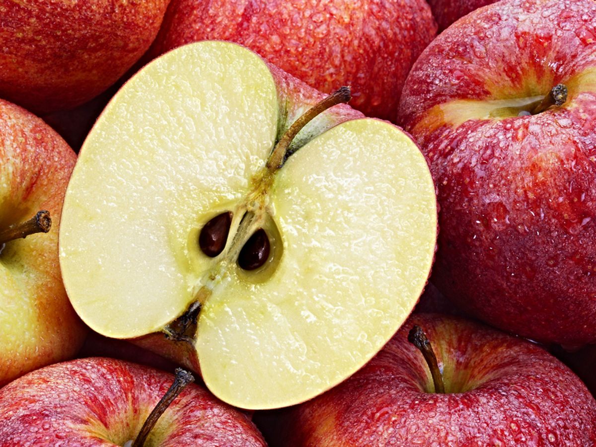 Can Apple Seeds Kill You?