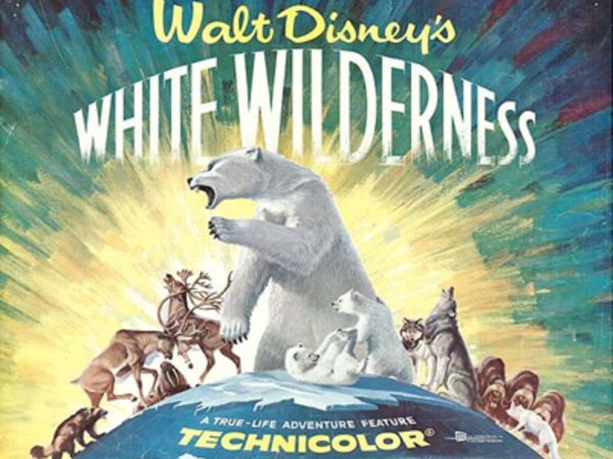 Did Disney Fake Lemming Suicide for the Nature Documentary 'White  Wilderness'?