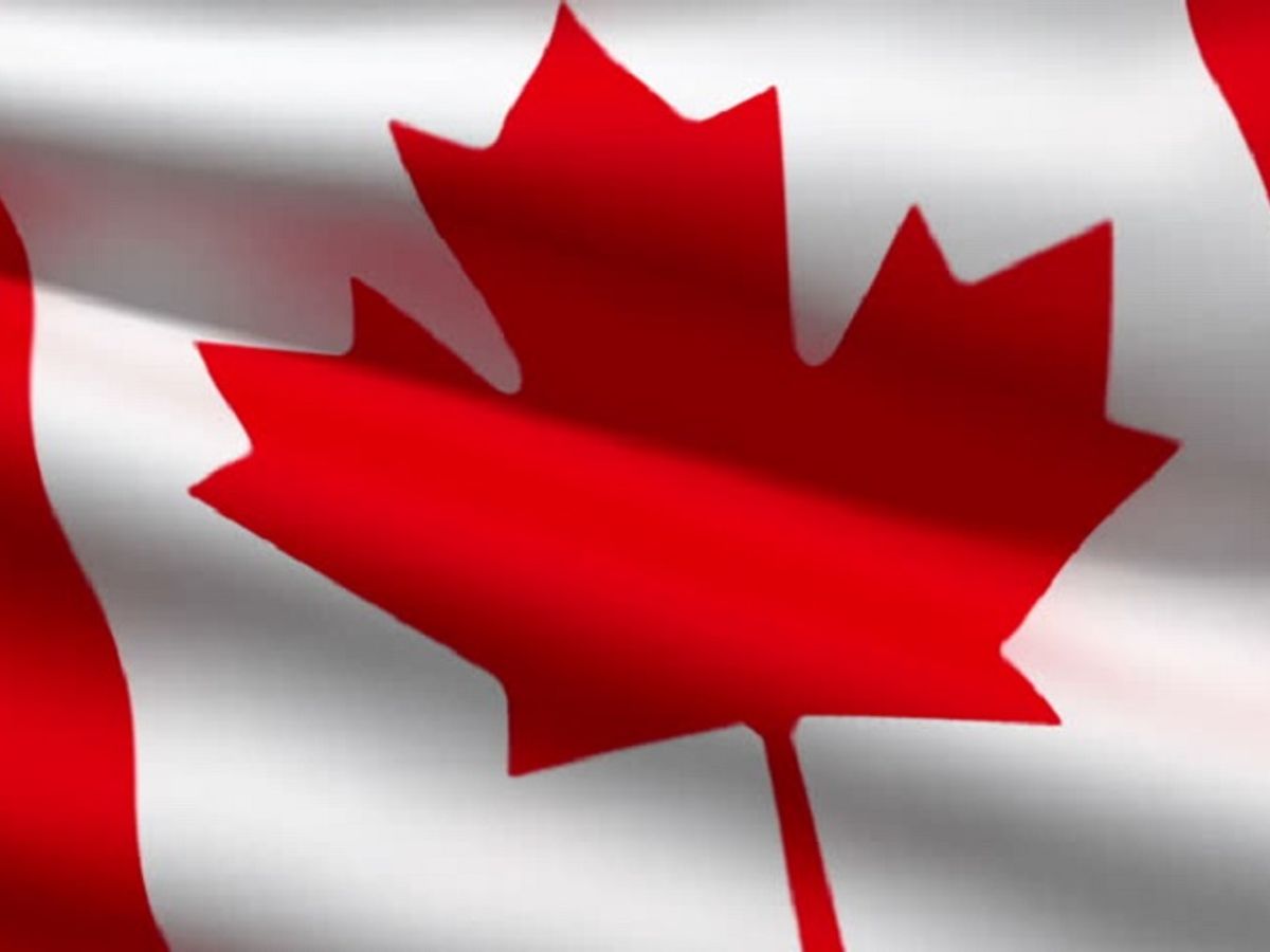 REAL Pressed Maple Leaf Canadian Flag SIGNED ORIGINAL Made in