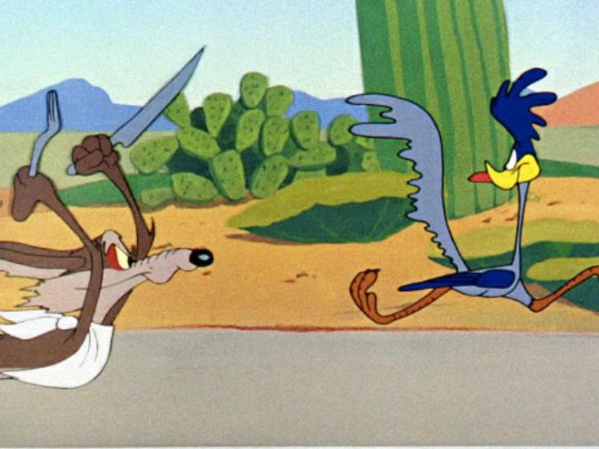 road runner cartoon