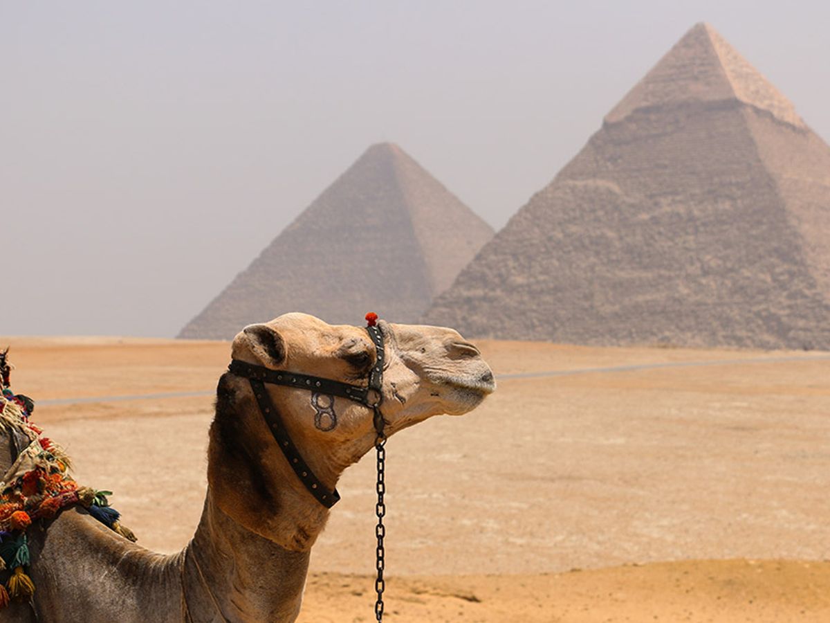 Vijf Bijdrage opbouwen Did Camel Cigarettes Packs Include a 'Hidden Naked Man'? | Snopes.com