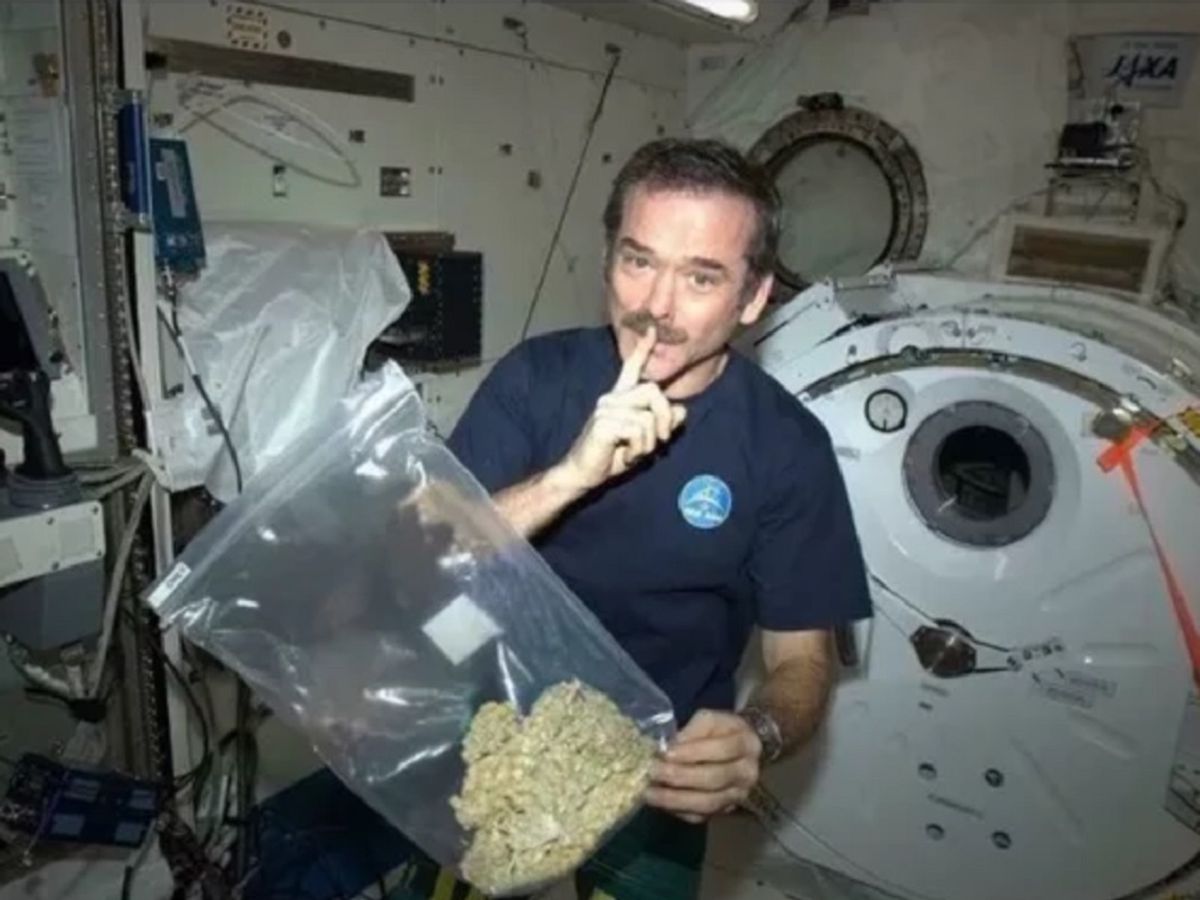 weed astronaut in space