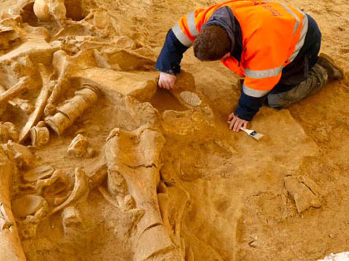 Was a 5-Meter-Tall Human Skeleton Unearthed in Australia? | Snopes.com