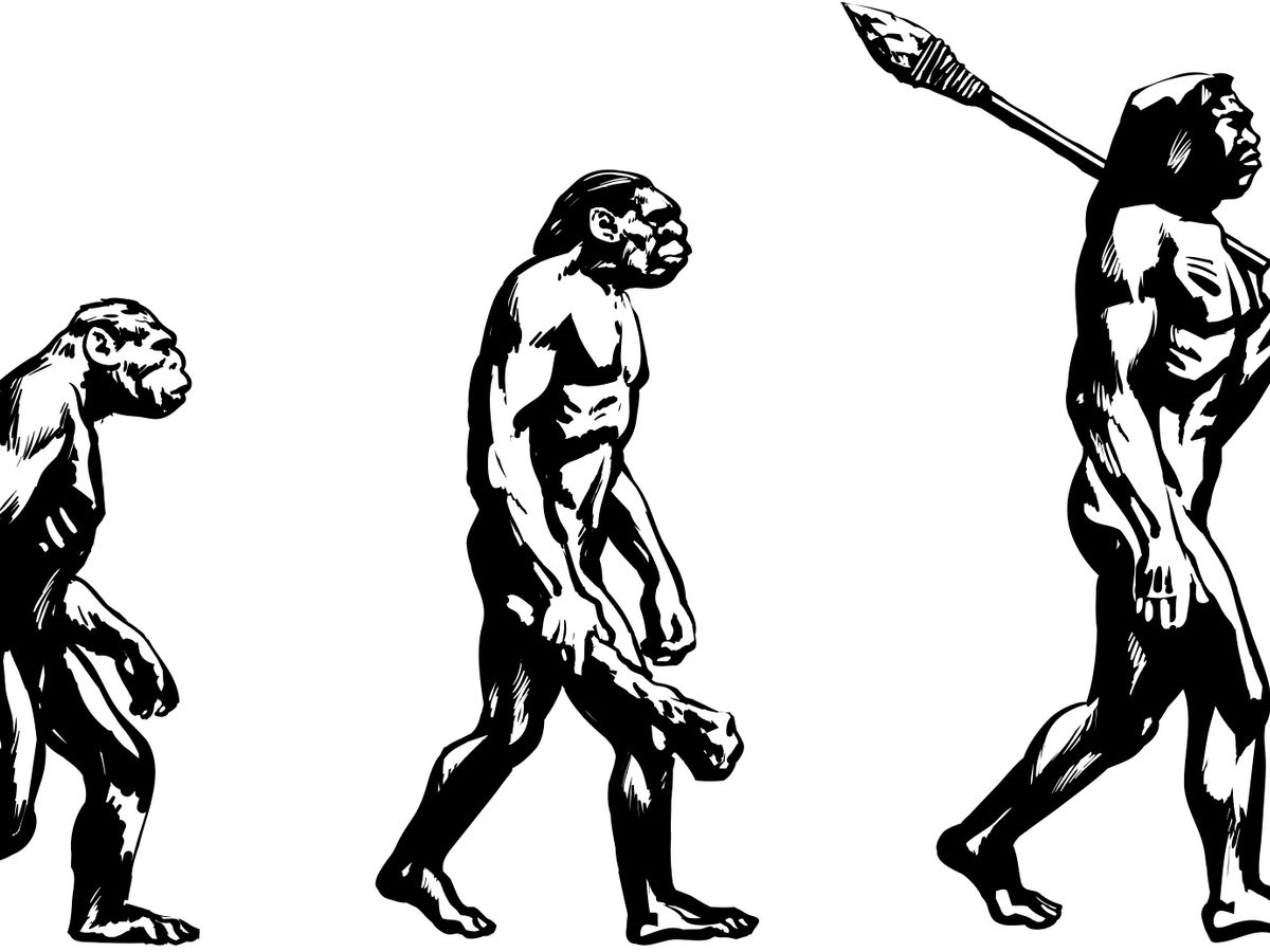 Evolution doesn't proceed in a straight line – so why draw it that way?