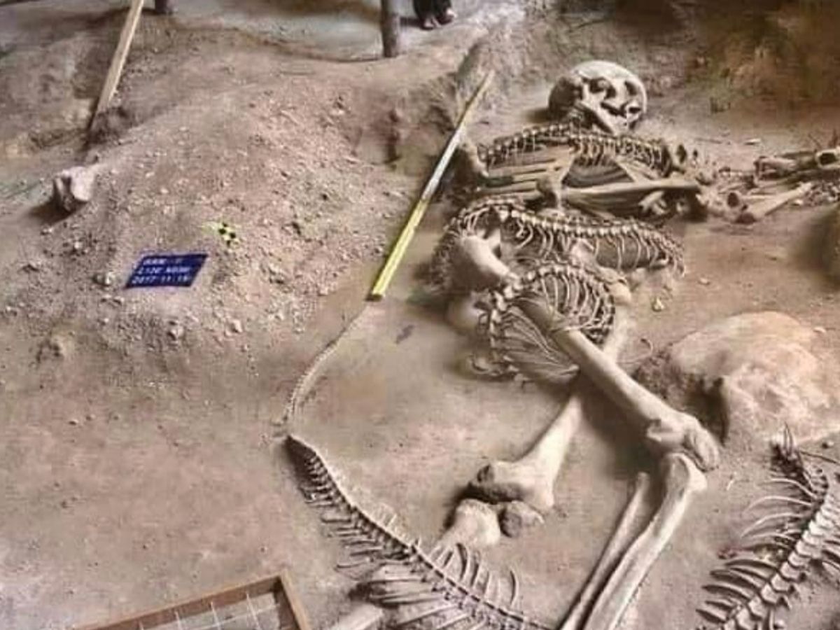 Was the Skeleton of a Giant Battling a Serpent Found in Thailand? |  Snopes.com