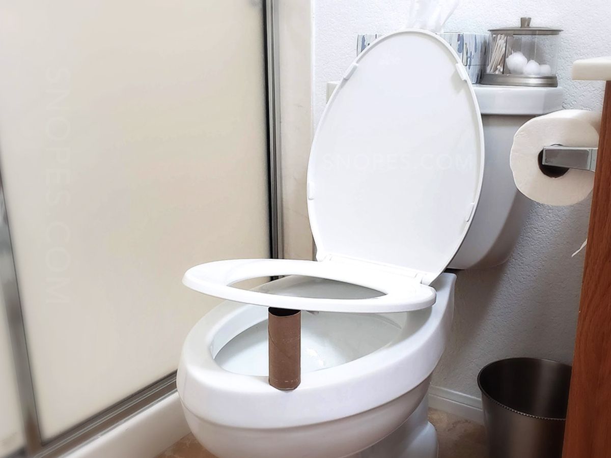 Туалетная бумага в унитаз можно. Toilet Roll. Туалетная бумага и Ракушка.