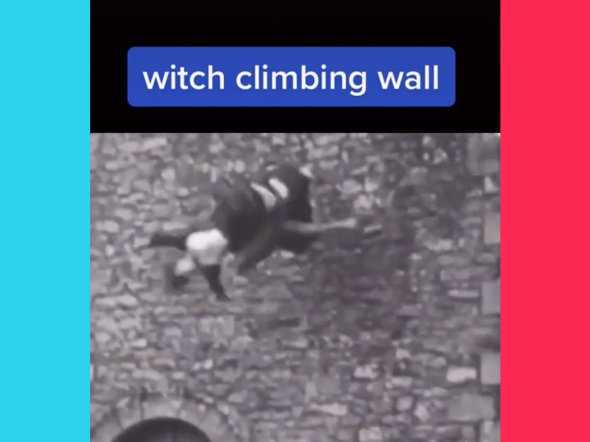 chinese corner wall crawl｜TikTok Search