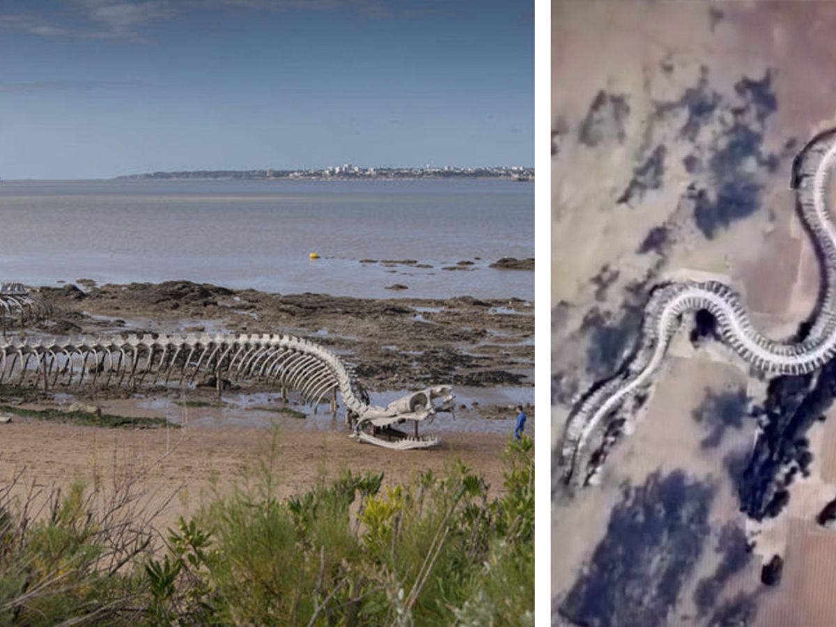 Esqueleto de cobra gigante é encontrado através do Google Maps