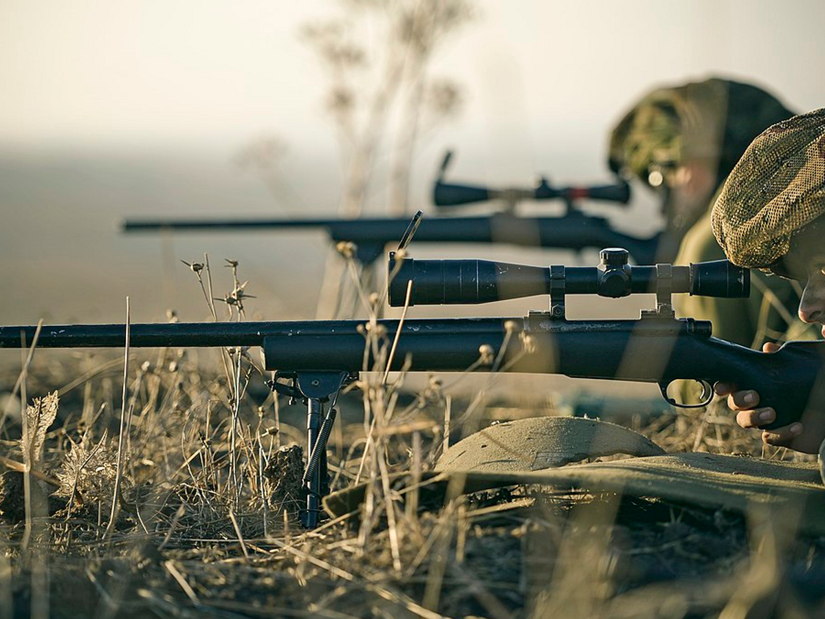 Premium Vector  Ukrainian warior cat sniper in two positions