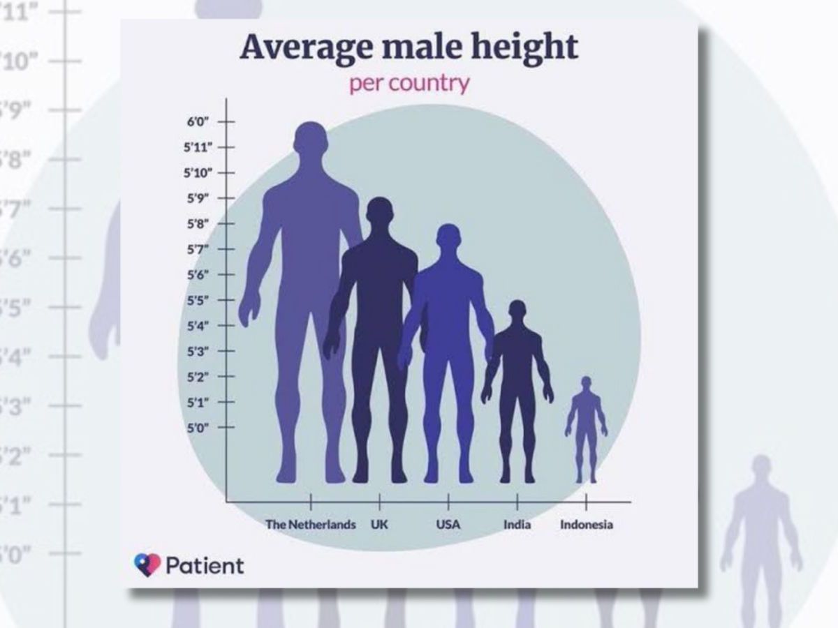 https://mediaproxy.snopes.com/width/1200/height/900/https://media.snopes.com/2023/10/male_height_graph.jpg