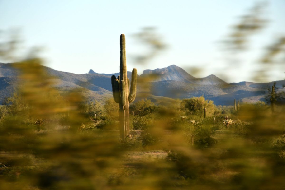 BENSON AZ - MARCH 14: Passing a saguaro cactus driving on Interstate Highway 10 March 14, 2019 near Benton, Arizona  (Photo by Paul Harris/Getty Images) (Paul Harris/Getty Images)