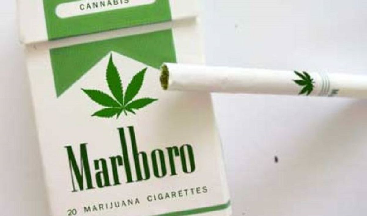 Has Phillip Morris Introduced 'Marlboro M' Marijuana Cigarettes