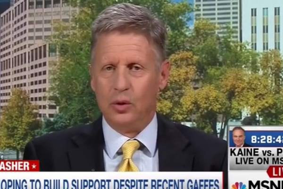 Libertarian presidential candidate Gary Johnson appears on MSNBC on Oct. 4, 2016.