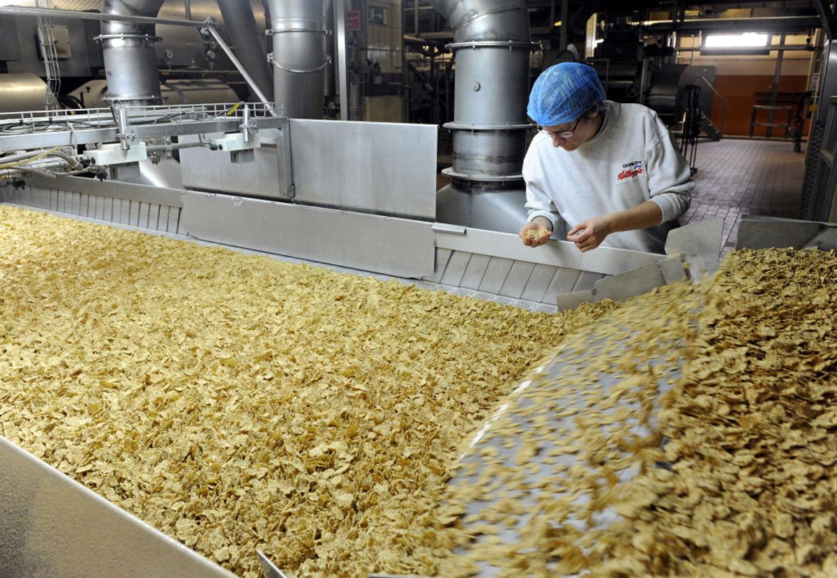 An employee of the Kellogg Deutschland GmbH examines the breakfast cereal 'Cornflakes' in the production in the Kellogg's plant in Bremen, Germany, 16 October 2013. For fifty years now, the different cornflakes products of the US cereal producer are produced in Bremen. The more than 100 year old company celebrated the 50 year anniversary of the Bremen plant. Photo: Ingo Wagner/dpa | usage worldwide   (Photo by Ingo Wagner/picture alliance via Getty Images) (Getty Images)