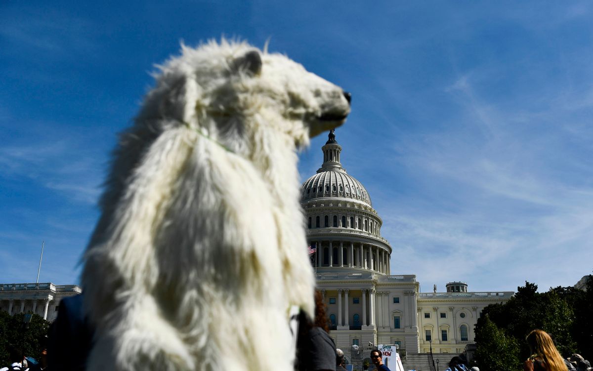 An activist wears a polar bear suit near the US Capitol during the Global Climate Strike march in Washington, DC on September 20, 2019. - Crowds of children skipped school to join a global strike against climate change, heeding the rallying cry of teen activist Greta Thunberg and demanding adults act to stop environmental disaster. It was expected to be the biggest protest ever against the threat posed to the planet by climate change. (Photo by Brendan Smialowski / AFP)        (Photo credit should read BRENDAN SMIALOWSKI/AFP/Getty Images) ( An activist wears a polar bear suit near the US Capitol during the Global Climate Strike march in Washington, DC on September 20, 2019.  BRENDAN SMIALOWSKI/AFP/Getty Images )