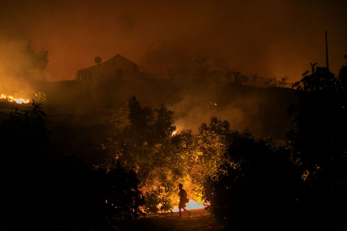 SOMIS, CA - NOVEMBER 01: An avocado farm burns in the Maria Fire, which exploded to 8,000 acres on its first night, on November 1, 2019 near Somis, California. Southern California has been hit by a series of dangerous, fast-moving wildfires this week as Santa Ana Winds ushered in strong gusts up to 80 mph and extremely low humidity.  (Photo by David McNew/Getty Images) (Getty Images)