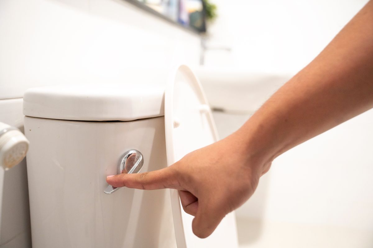 hand flush toilet (Getty Images/Stock photo)
