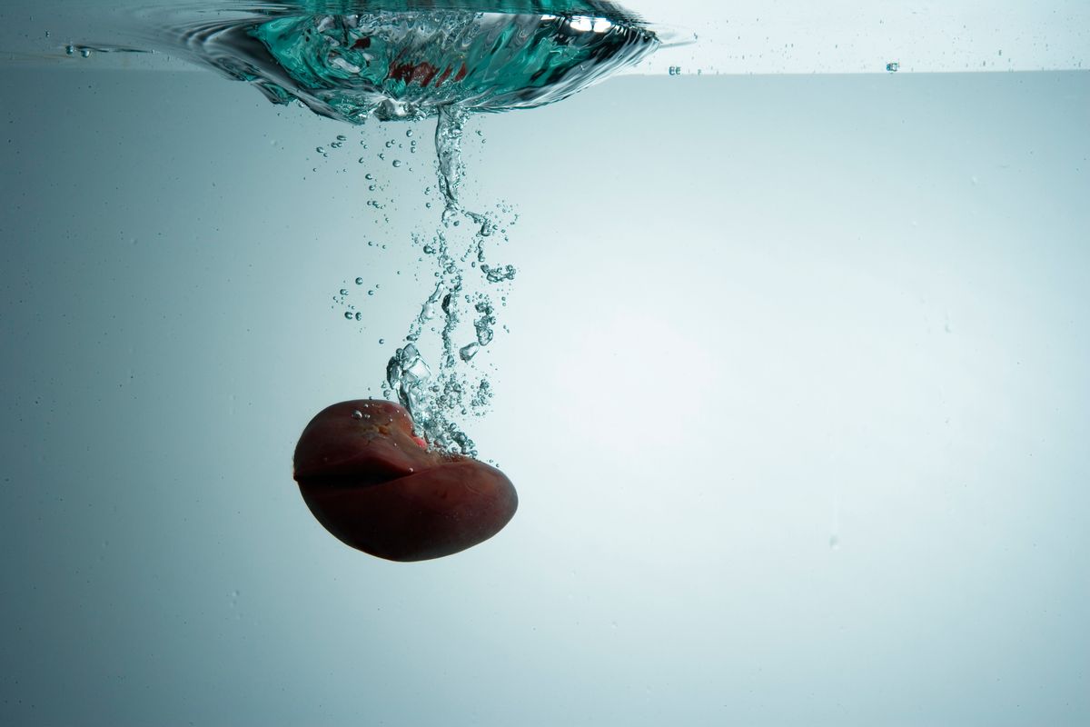 Kidney being dropped in water (Getty Images/Stock photo)