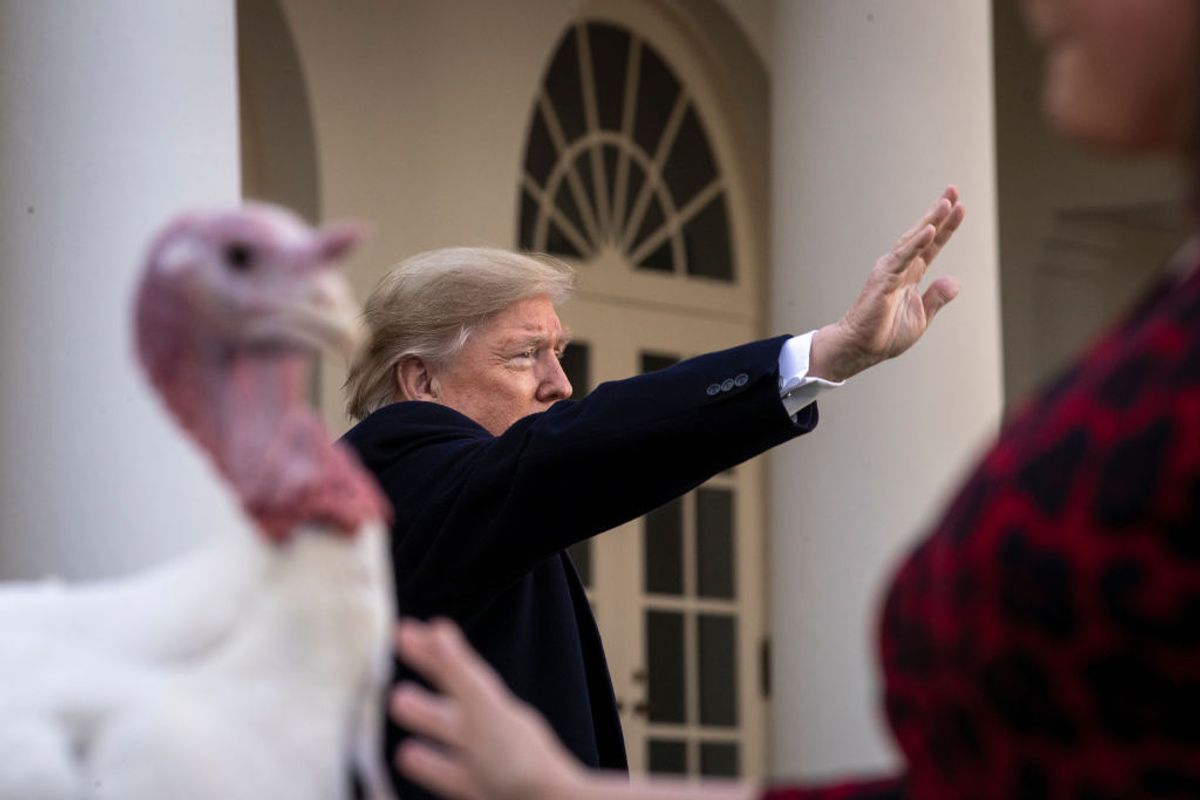 WASHINGTON, DC - NOVEMBER 26: U.S. President Donald Trump waves after giving Butter, the National Thanksgiving Turkey, a presidential pardon during the traditional event in the Rose Garden of the White House November 26, 2019 in Washington, DC. The turkey pardon was made official in 1989 under former President George H.W. Bush, who was continuing an informal tradition started by President Harry Truman in 1947. Following the presidential pardon, the 47-pound turkey which was raised by farmer Wellie Jackson of Clinton, North Carolina, will reside at his new home, 'Gobbler's Rest,' at Virginia Tech. (Photo by Drew Angerer/Getty Images) (Getty Images)