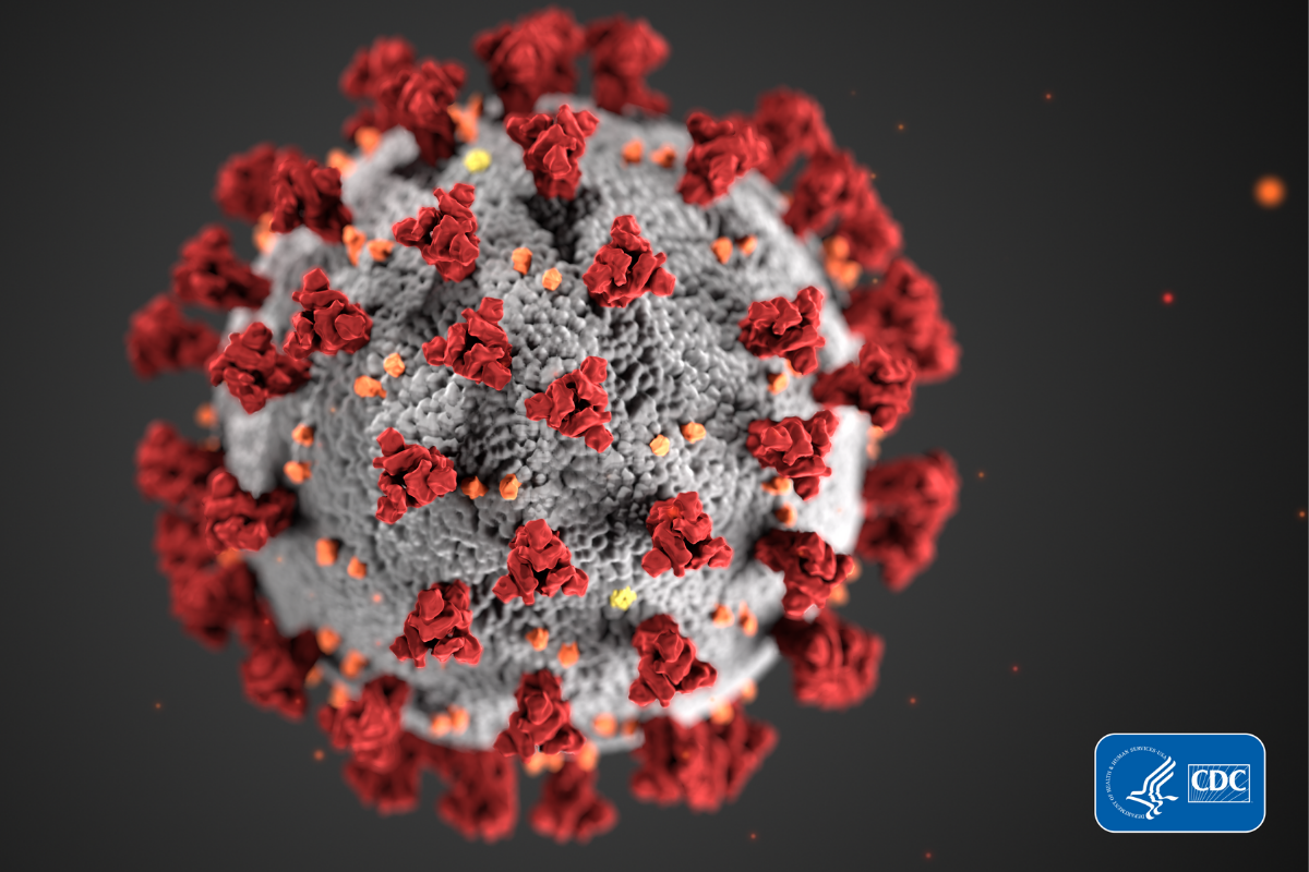 This illustration, created at the Centers for Disease Control and Prevention (CDC), reveals ultrastructural morphology exhibited by coronaviruses. Note the spikes that adorn the outer surface of the virus, which impart the look of a corona surrounding the virion, when viewed electron microscopically. A novel coronavirus, named Severe Acute Respiratory Syndrome coronavirus 2 (SARS-CoV-2), was identified as the cause of an outbreak of respiratory illness first detected in Wuhan, China in 2019. The illness caused by this virus has been named coronavirus disease 2019 (COVID-19). (CDC/Alissa Eckert, MS; Dan Higgins, MAM) (CDC/Alissa Eckert, MS; Dan Higgins, MAM)
