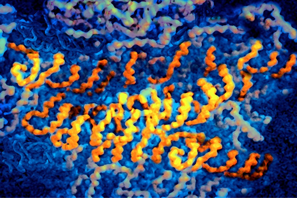Rna Strands. Ribo Nucleic Acid. (Photo By BSIP/UIG Via Getty Images) (BSIP/UIG Via Getty Images)