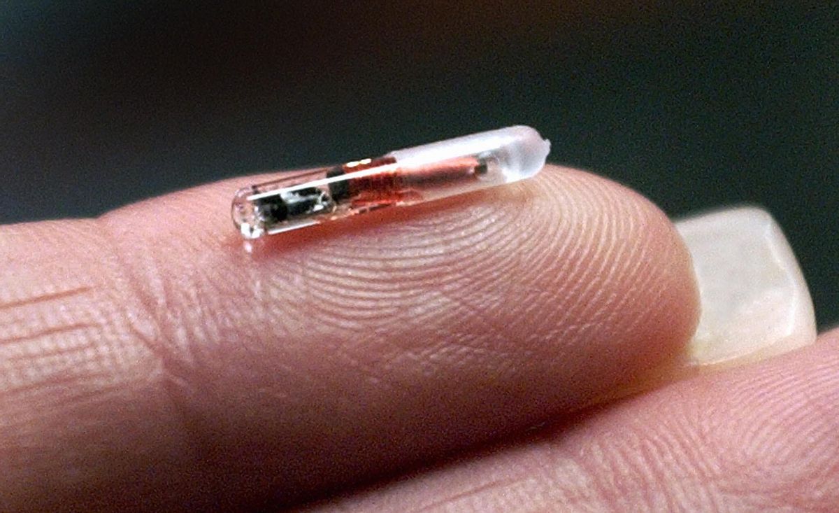 BOCA RATON, UNITED STATES:  (FILES) This 10 May 2002 file photo shows the VeriChip, a product of Applied Digital Solutions, Inc. VeriChip, the world's first implantable radio frequency ID microchip for human use, has been cleared for medical use in the United States by the FDA, (Food and Drug Administration) the company said 13 October, 2004. The system consists of an implantable microtransponder, an inserter, a proprietary hand-held scanner, and secure database containing patient-approved health-care information. About the size of a grain of rice, VeriChip is inserted under the skin in a brief outpatient procedure. Once in, it cannot be seen by the human eye. To read what is in the Veri Chip, a unique 16-digit verification number must be scanned by a company instrument. The captured number in turn links to a database via encrypted Internet access. The health-care information or history stored on the chip can then be read by a doctor, nurse, paramedic or police officer.  AFP PHOTO/FILES/RHONA WISE   (Photo credit should read RHONA WISE/AFP via Getty Images) (RHONA WISE/AFP via Getty Images)