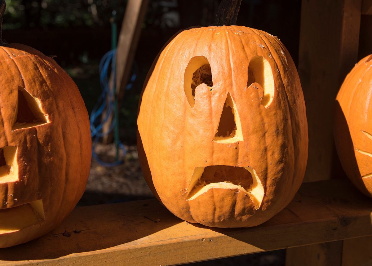 Unhappy pumpkin (Getty Images/Elizabeth W. Kearley)
