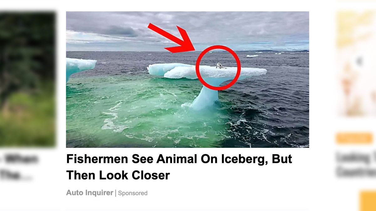 An ad claimed the following words: Fishermen See Animal On Iceberg But Then Look Closer.