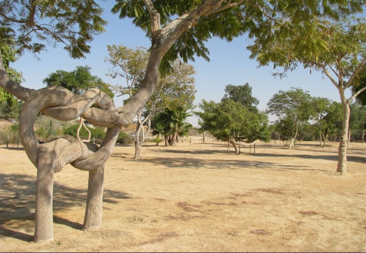  (Israel's Ministry of Agriculture and Rural Development)