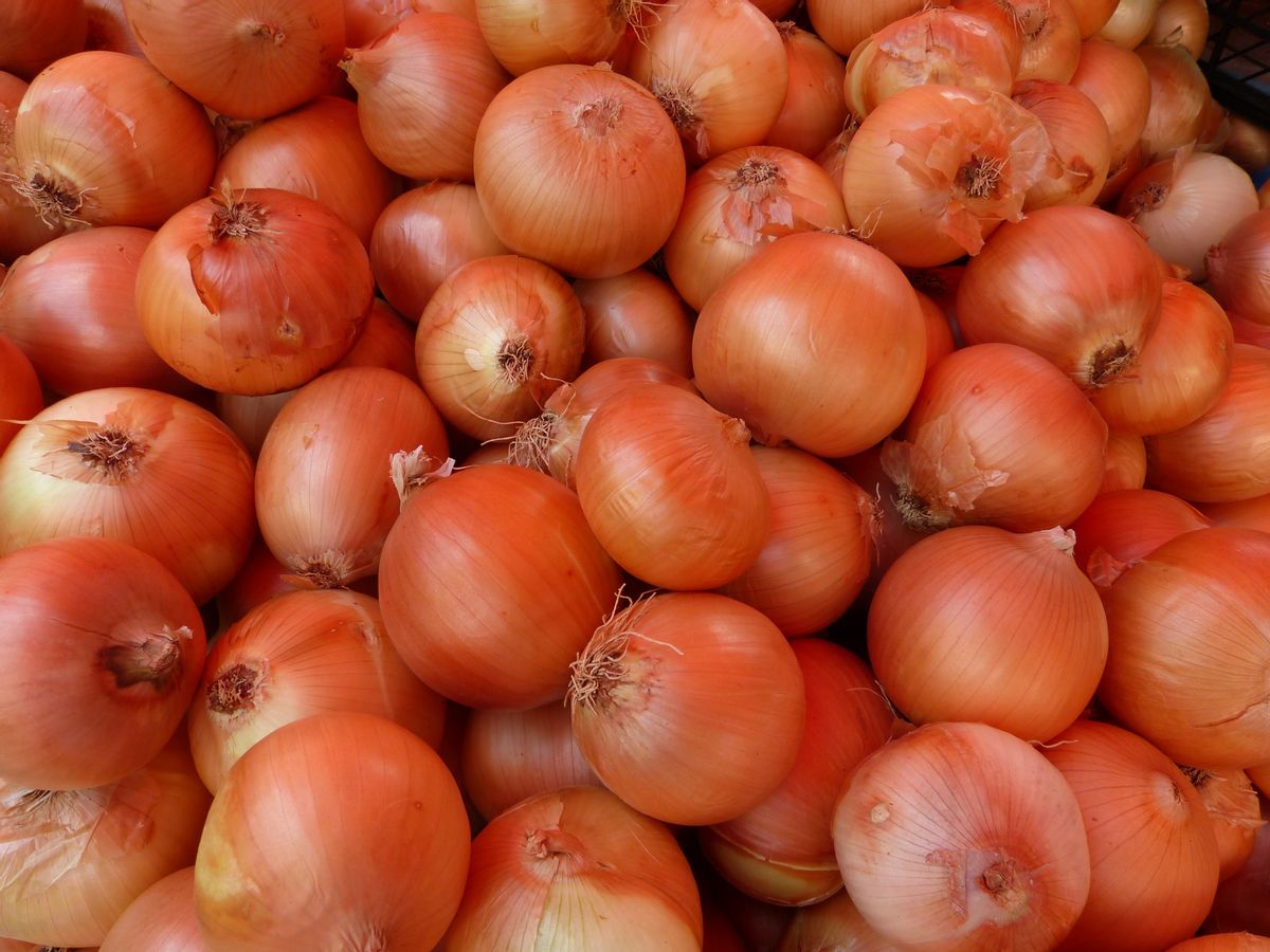 Free image/jpeg, Resolution: 4000x3000, File size: 2Mb, harvest of brown onions (Pixy)